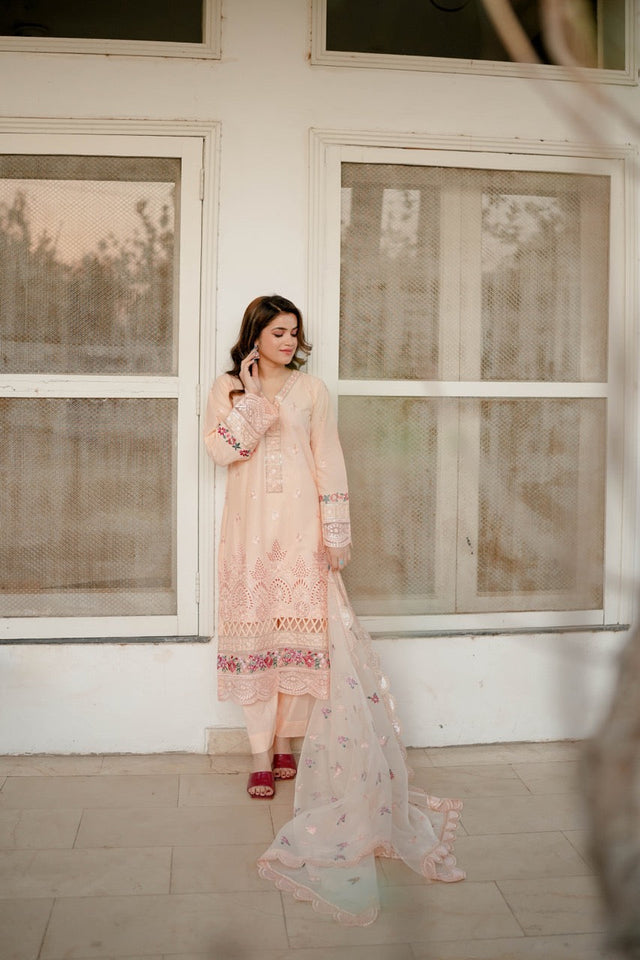 Florin 3-Piece Peach Cotton with Embroidered Organza Dupatta