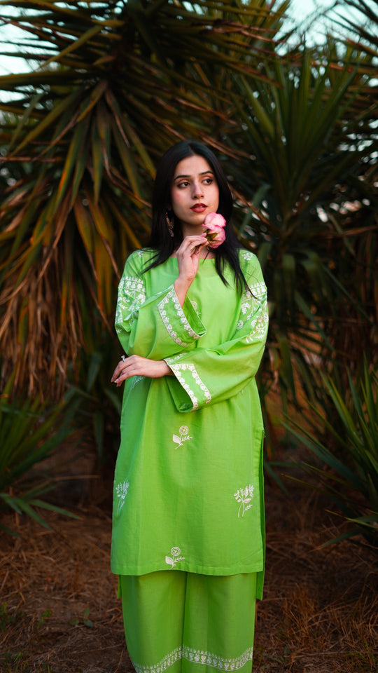 Ishaal 2-Piece Embroidered Lawn with Plain Trouser
